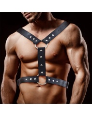 Arnes BDSM para hombre