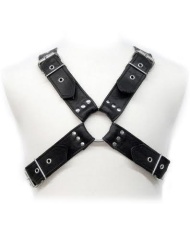 Arnes Dominacion BDSM