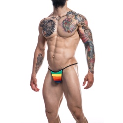 Briefkini Rainbow Xl imagen 1