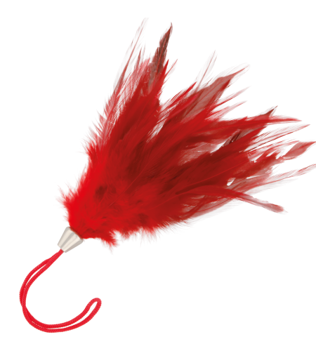 PLUMA ESTIMULADORA ROJO 17CM